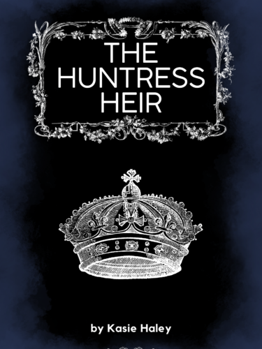 Writing My First Novel
